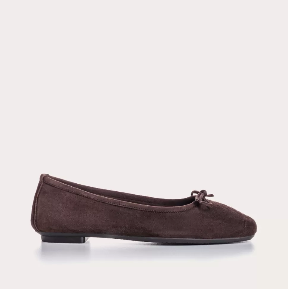 Ballerines^Reqins Ballerines Harmony Cuir Velours Cc Marron