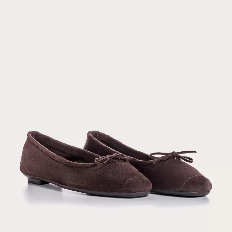 Ballerines^Reqins Ballerines Harmony Cuir Velours Cc Marron